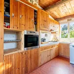 25 Ambiance Cosy Jardin Arbore
