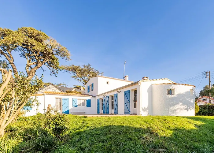 25 Ambiance Cosy Jardin Arbore